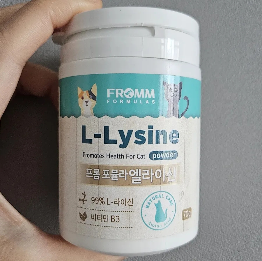 고양이 엘라이신 추천｜프롬 포뮬러 엘라이신 한 달 급여 솔직 후기🐱✨