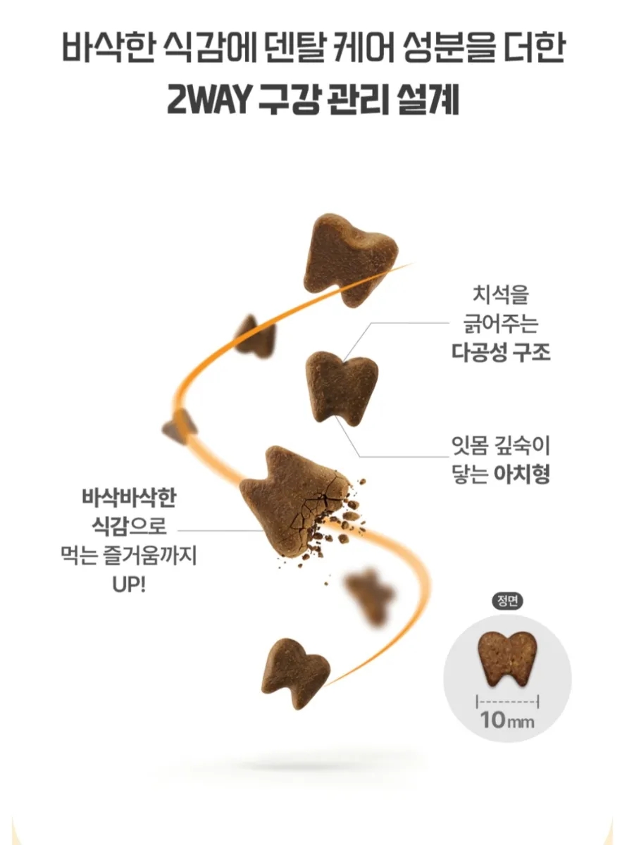 5개월 아기 고양이 치아관리｜저요 저요 덴탈 간식 내돈내산 후기🐱✨