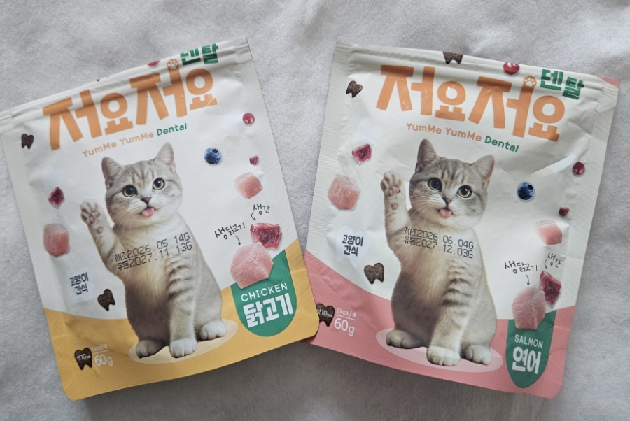 5개월 아기 고양이 치아관리｜저요 저요 덴탈 간식 내돈내산 후기🐱✨