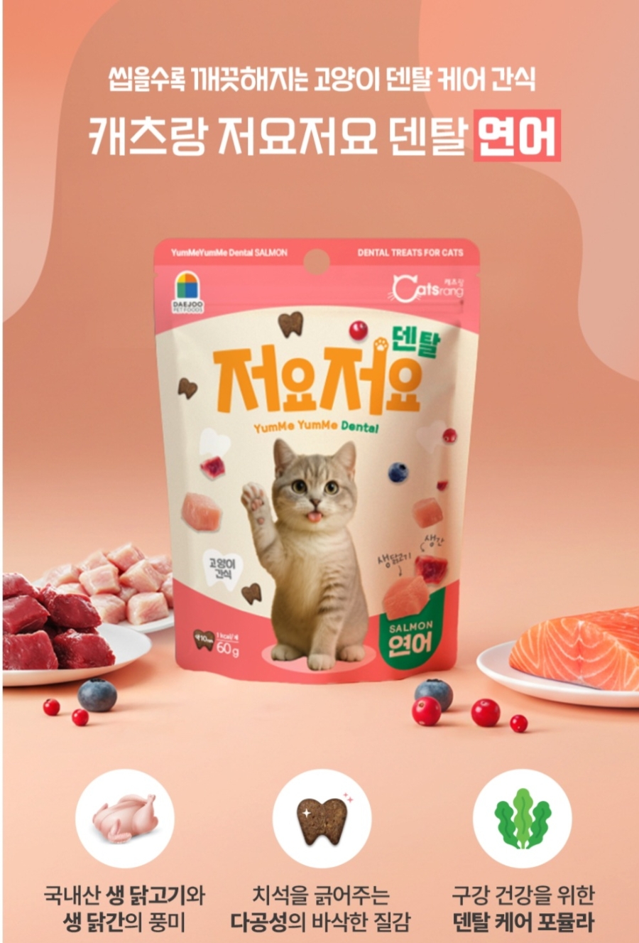 5개월 아기 고양이 치아관리｜저요 저요 덴탈 간식 내돈내산 후기🐱✨