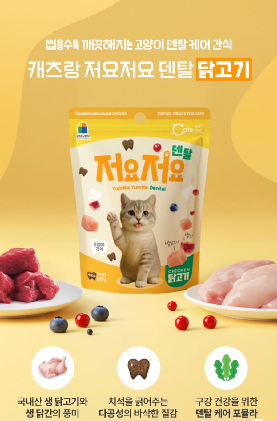 5개월 아기 고양이 치아관리｜저요 저요 덴탈 간식 내돈내산 후기🐱✨