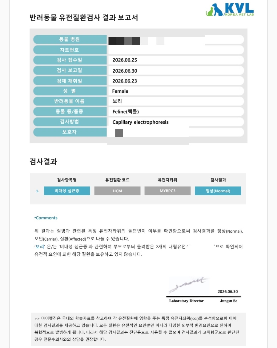 랙돌 고양이 입양 후기｜유산과 시험관 실패 후 우리 가족이 된 '보리'