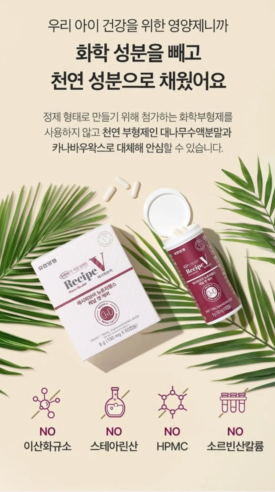고양이 영양제 추천｜레시피 브이 뉴트리 헬스 내돈내산 솔직 후기 🐱✨
