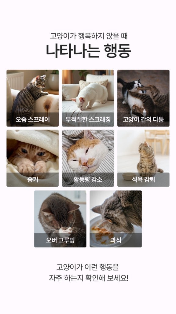 출처: FELIWAY Classic