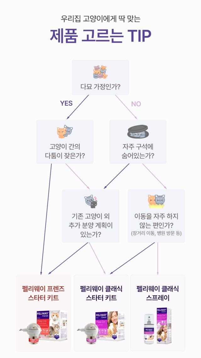 고양이 페로몬 추천｜펠리웨이 클래식 효과 후기, 내돈내산 솔직 리뷰✨