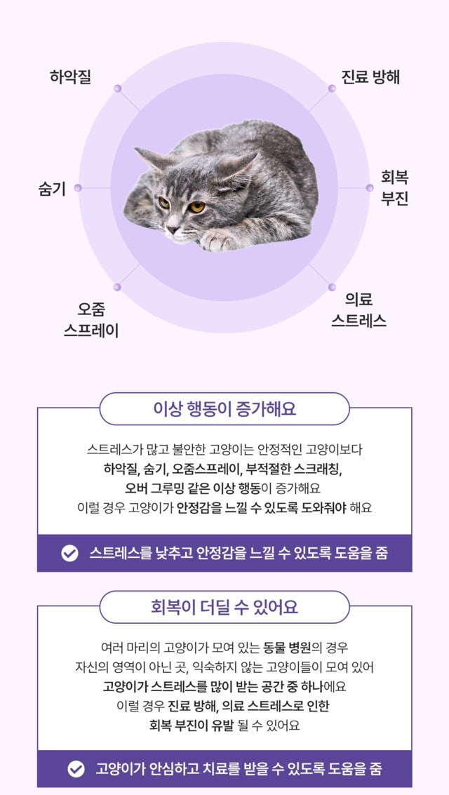 고양이 페로몬 추천｜펠리웨이 클래식 효과 후기, 내돈내산 솔직 리뷰✨