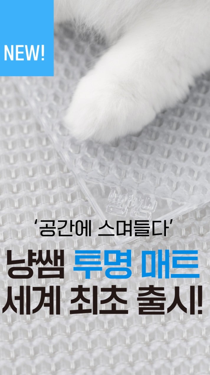 고양이 모래 매트 추천｜카사바 모래 사막화 해결! 냥쌤 모래 매트 캐치 투명 [ 내돈내산 후기 ]