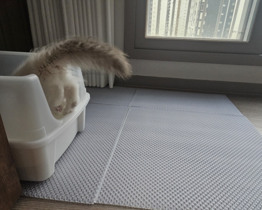 고양이 모래 매트 추천｜카사바 모래 사막화 해결! 냥쌤 모래 매트 캐치 투명 [ 내돈내산 후기 ]