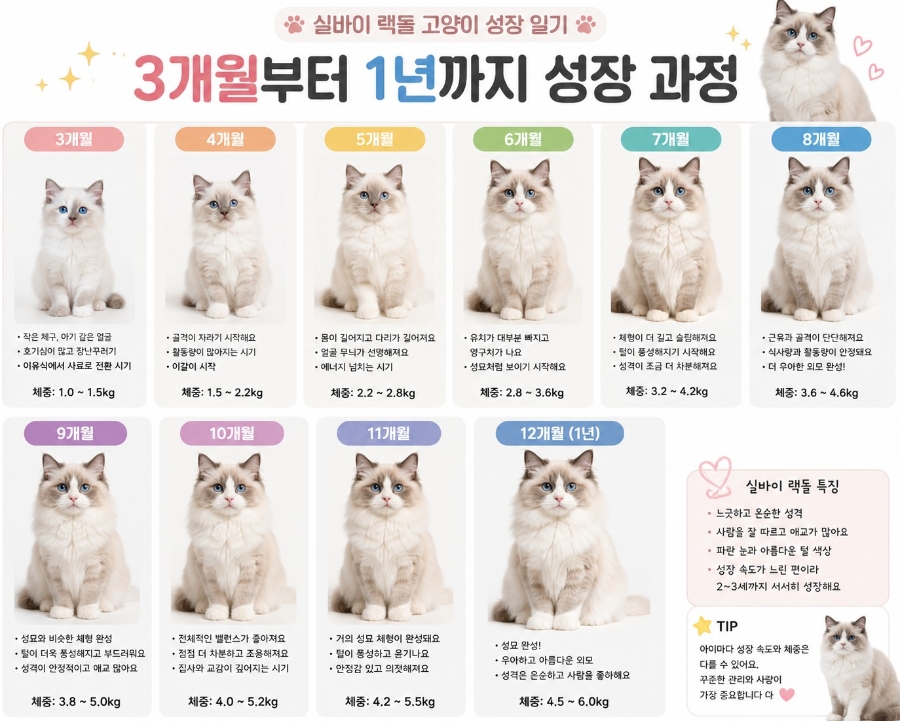 AI ์ด๋ฏธ์ง