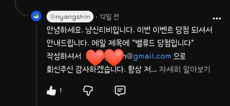 🎉 냥신TV 댓글 이벤트 당첨｜밸류드 커스텀 티셔츠 제작 후기 & 착용 리뷰👕