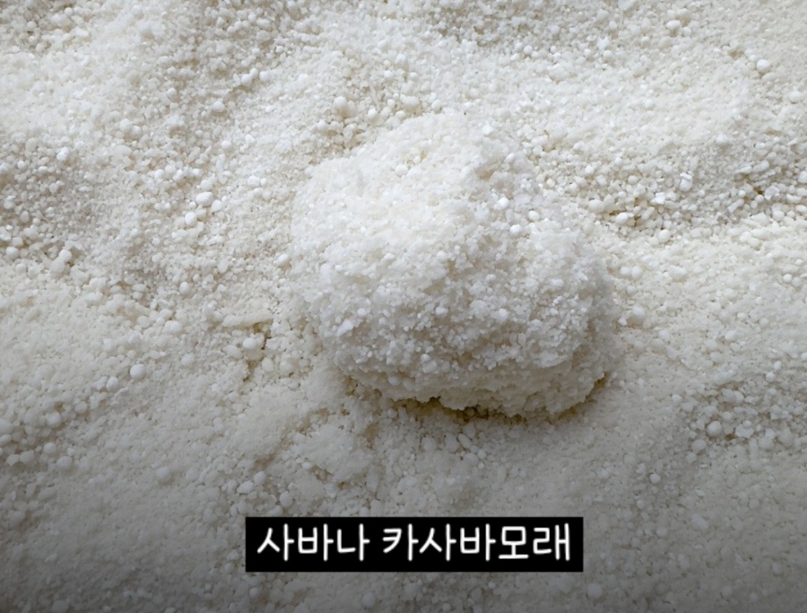 카사바 모래 비교｜정직한모래RG vs 365샌드 vs 사바나 응고력·가루날림·가성비 총정리✨