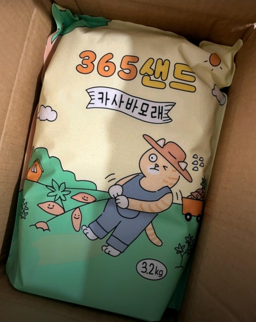 카사바 모래 비교｜정직한모래RG vs 365샌드 vs 사바나 응고력·가루날림·가성비 총정리✨
