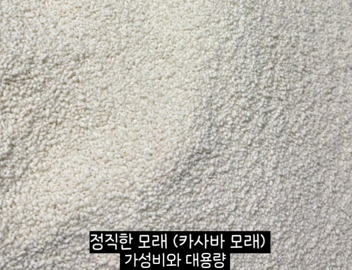 카사바 모래 비교｜정직한모래RG vs 365샌드 vs 사바나 응고력·가루날림·가성비 총정리✨