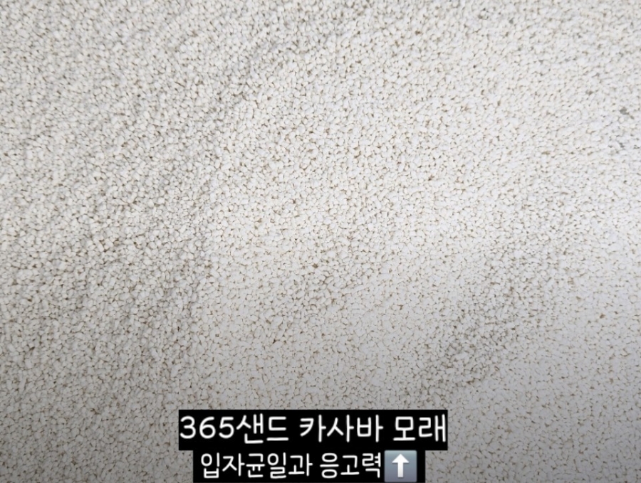 카사바 모래 비교｜정직한모래RG vs 365샌드 vs 사바나 응고력·가루날림·가성비 총정리✨