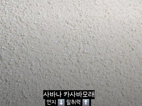 카사바 모래 비교｜정직한모래RG vs 365샌드 vs 사바나 응고력·가루날림·가성비 총정리✨