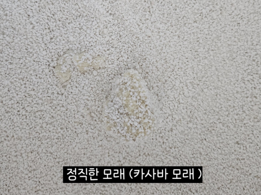 카사바 모래 비교｜정직한모래RG vs 365샌드 vs 사바나 응고력·가루날림·가성비 총정리✨