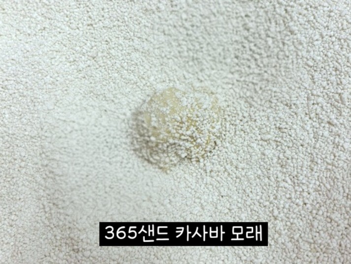 카사바 모래 비교｜정직한모래RG vs 365샌드 vs 사바나 응고력·가루날림·가성비 총정리✨