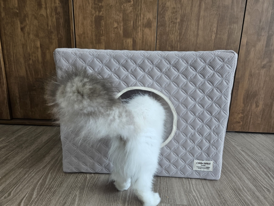 고양이 숨숨집 추천|침대 밑 대신 선택한 캣하우스 내돈내산 후기