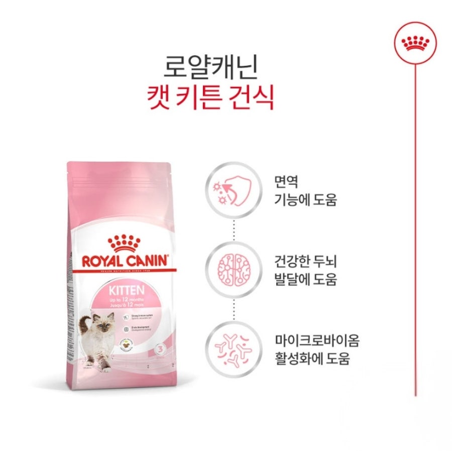 로얄캐닌 고양이 무료사료 샘플 신청 방법｜5개월 렉돌 보리도 잘 먹은 사료후기