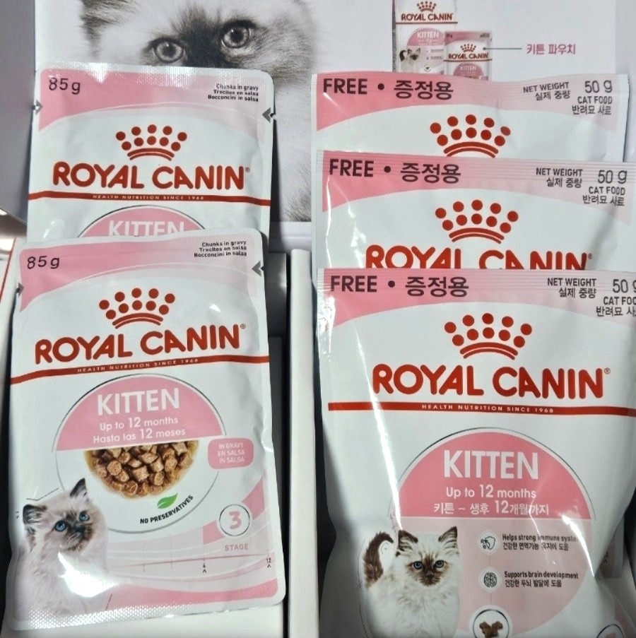 로얄캐닌 고양이 무료사료 샘플 신청 방법｜5개월 렉돌 보리도 잘 먹은 사료후기