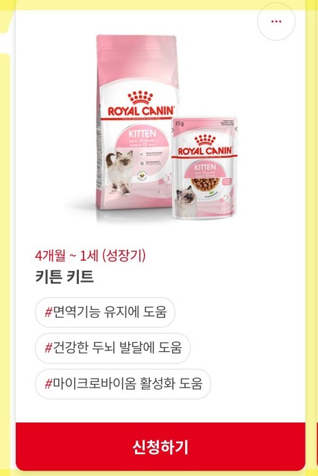로얄캐닌 고양이 무료사료 샘플 신청 방법｜5개월 렉돌 보리도 잘 먹은 사료후기