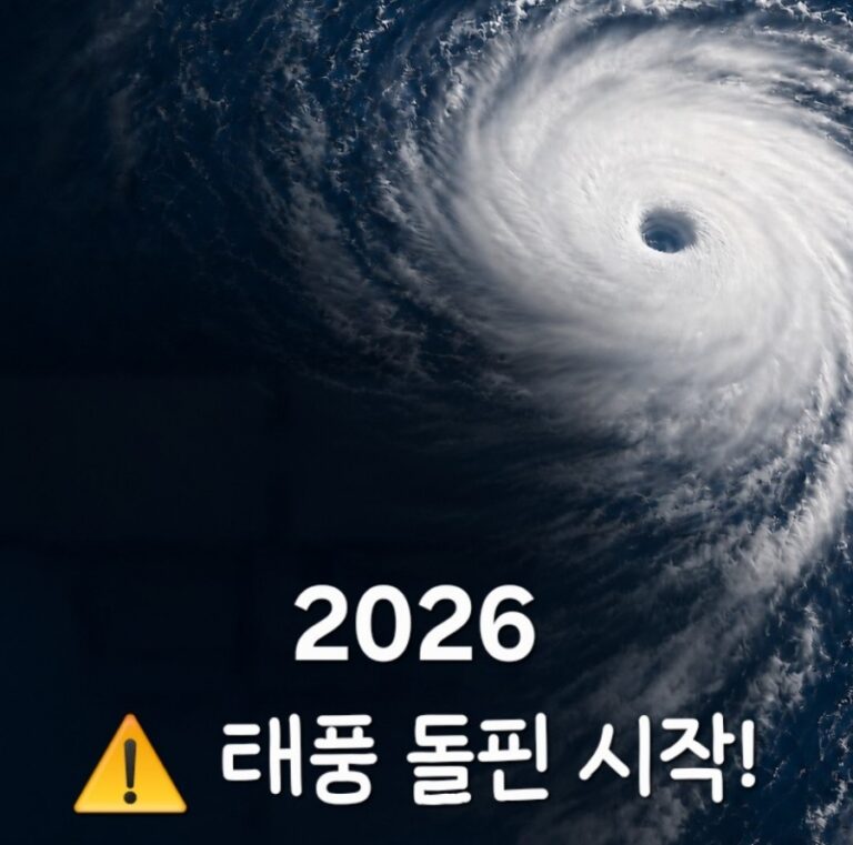 🚨 태풍 돌핀 경로 최신 소식! 태풍 루사가 남긴 교훈과 태풍 대비 총정리