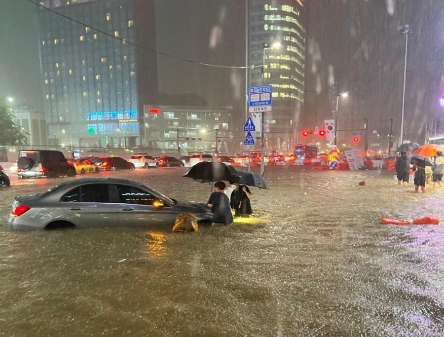 🚨 태풍 돌핀 경로 최신 소식! 태풍 루사가 남긴 교훈과 태풍 대비 총정리