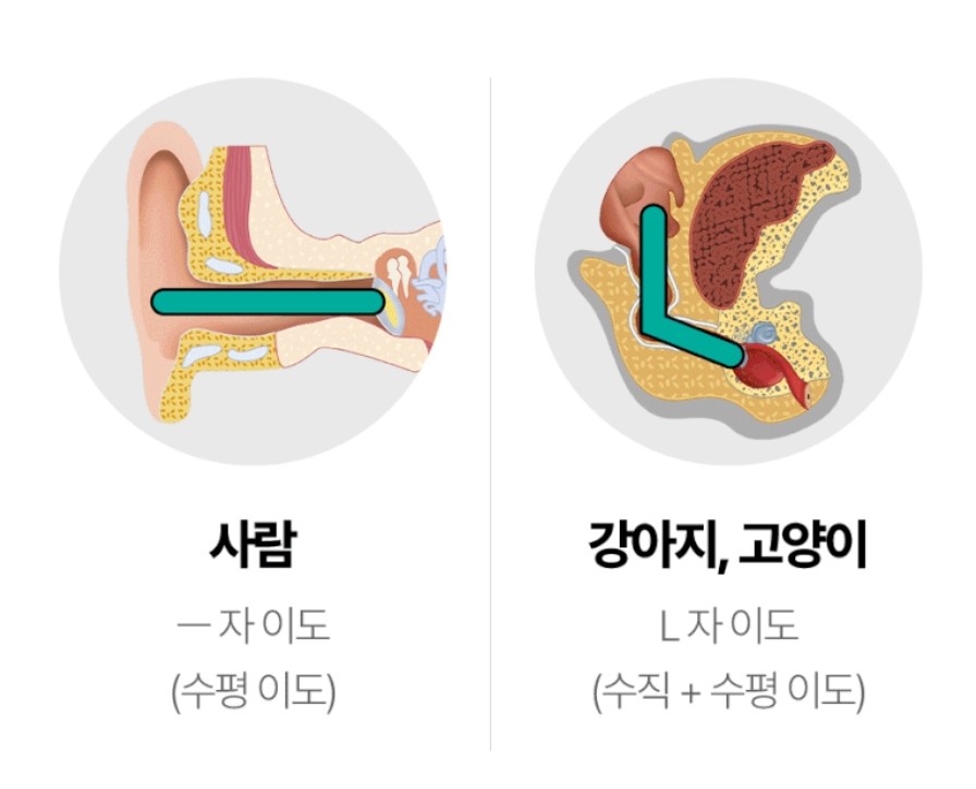 출처 : 하이포닉 귀세정제