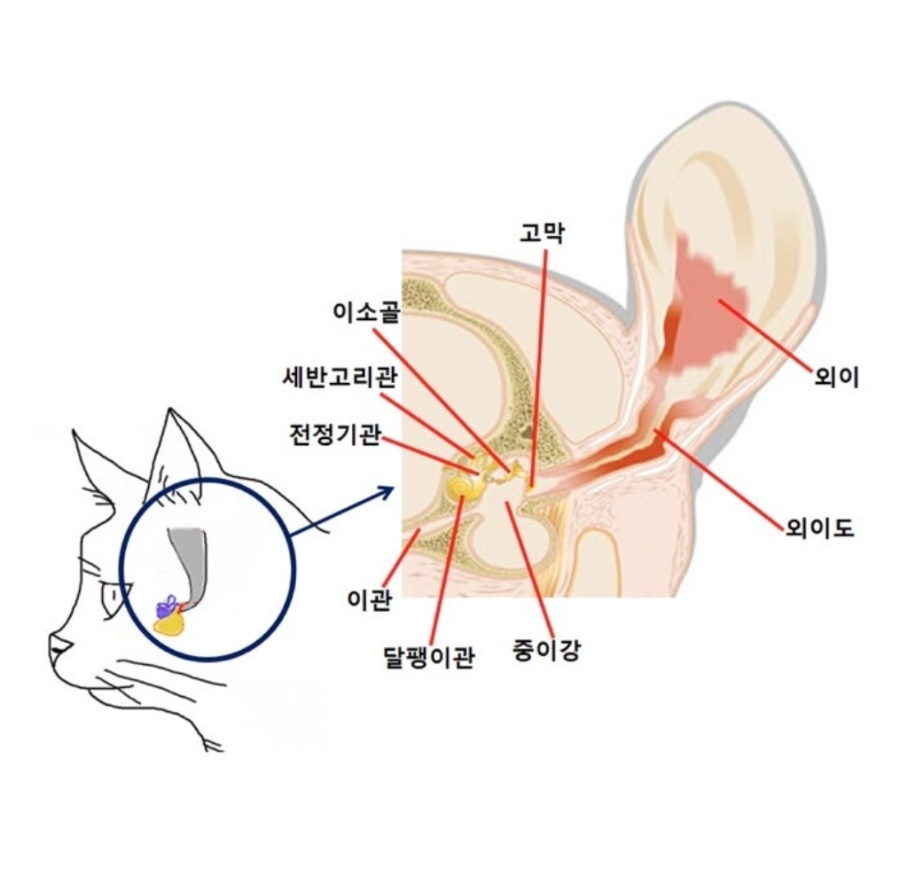 출처 : 네이버