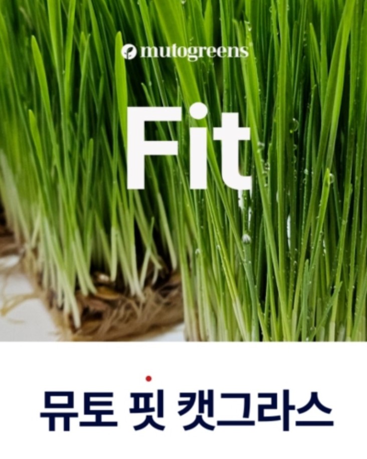 출처: mutogreens Fit