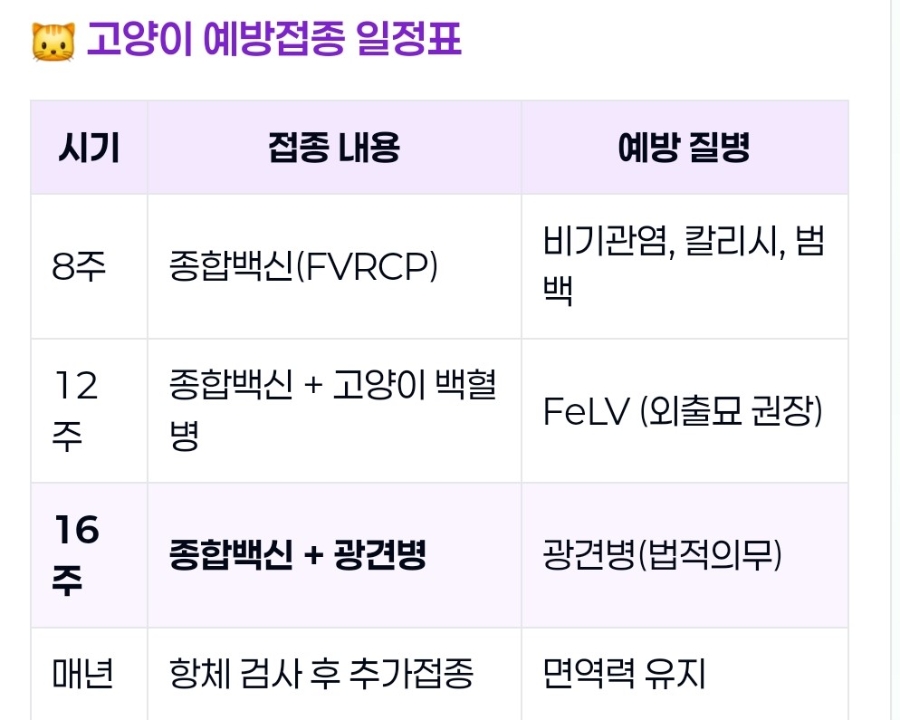 출처 : 큐레이터 단비
