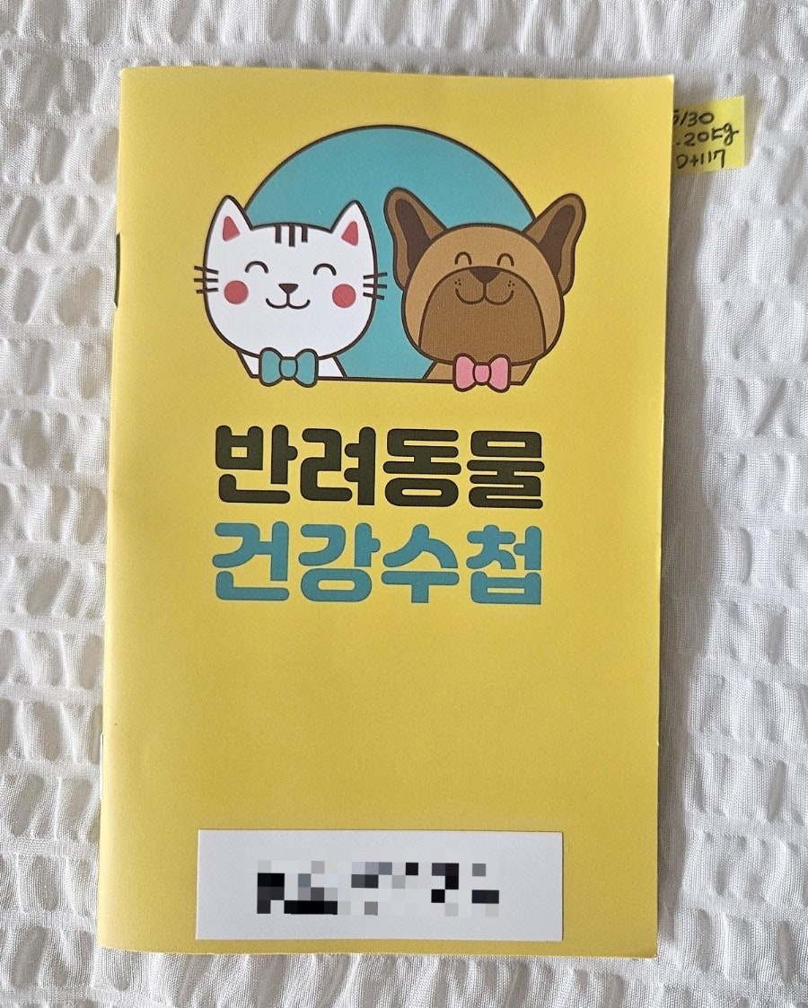 고양이 예방접종 시기 총정리｜렉돌 고양이 실제 접종 후기 + 비용