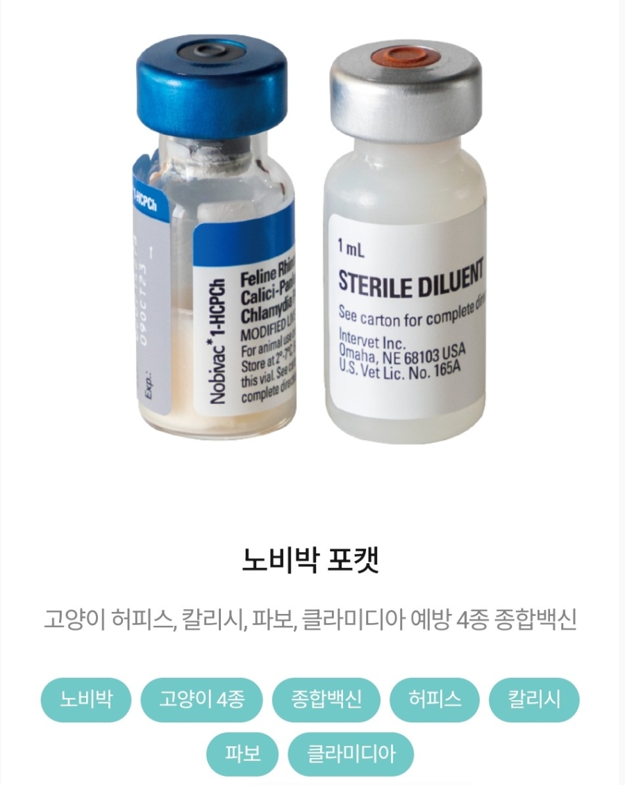 고양이 예방접종 시기 총정리｜렉돌 고양이 실제 접종 후기 + 비용