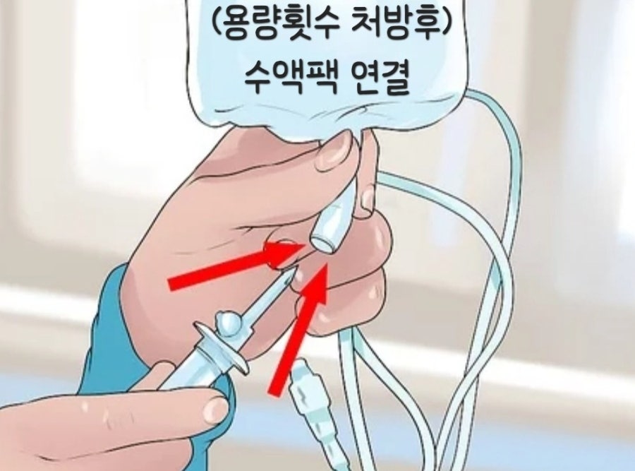 🔺️ 고양이 피하주사 방법