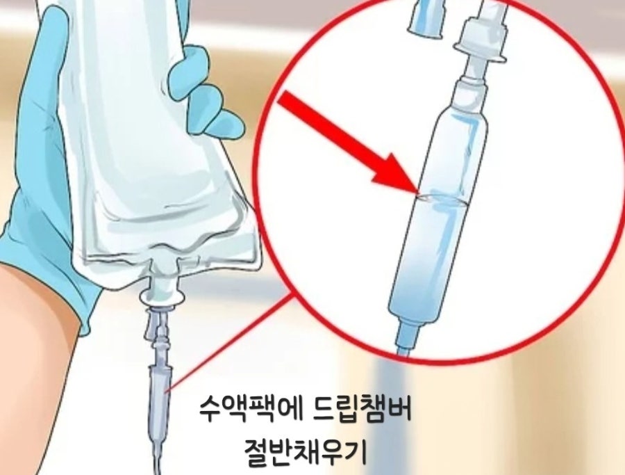 고양이 췌장염 증상, 이것만 놓치면 늦을 수 있어요|초기증상부터 검사·치료과정까지