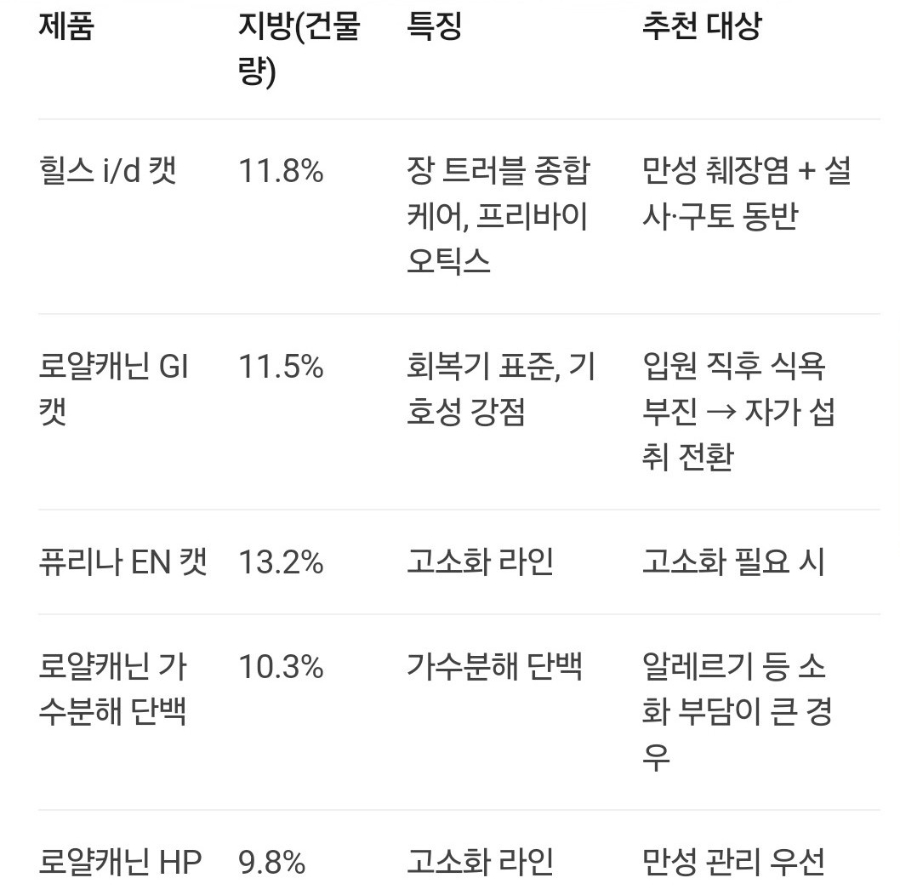 고양이 췌장염 증상, 이것만 놓치면 늦을 수 있어요|초기증상부터 검사·치료과정까지