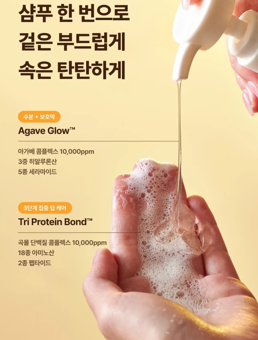 푸석한 머릿결·손상모 샴푸 추천｜드라이 후 건조한 머리 관리, 에끌무아 아가베 글로우 샴푸 후기