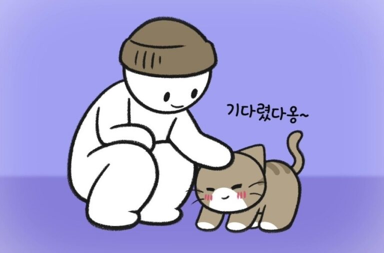 냥줍을 고민하고 있다면? 데려오기 전 꼭 알아둘 마음가짐과 실제 사례 🐱