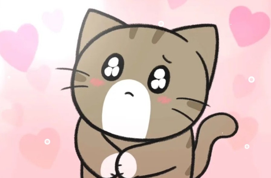 냥줍을 고민하고 있다면? 데려오기 전 꼭 알아둘 마음가짐과 실제 사례 🐱