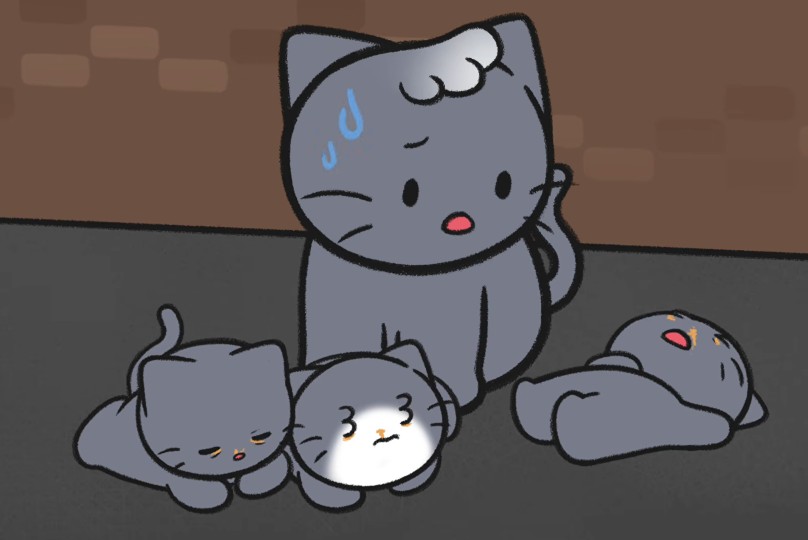 냥줍을 고민하고 있다면? 데려오기 전 꼭 알아둘 마음가짐과 실제 사례 🐱
