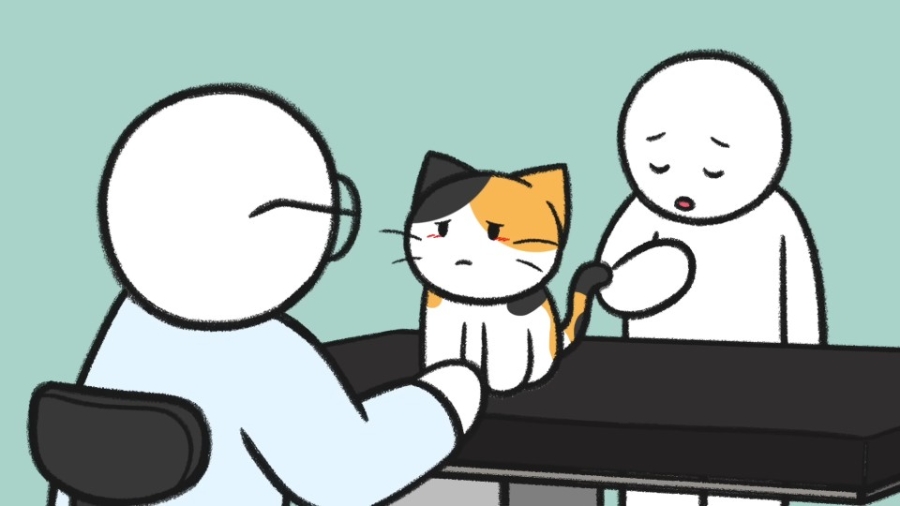 냥줍을 고민하고 있다면? 데려오기 전 꼭 알아둘 마음가짐과 실제 사례 🐱