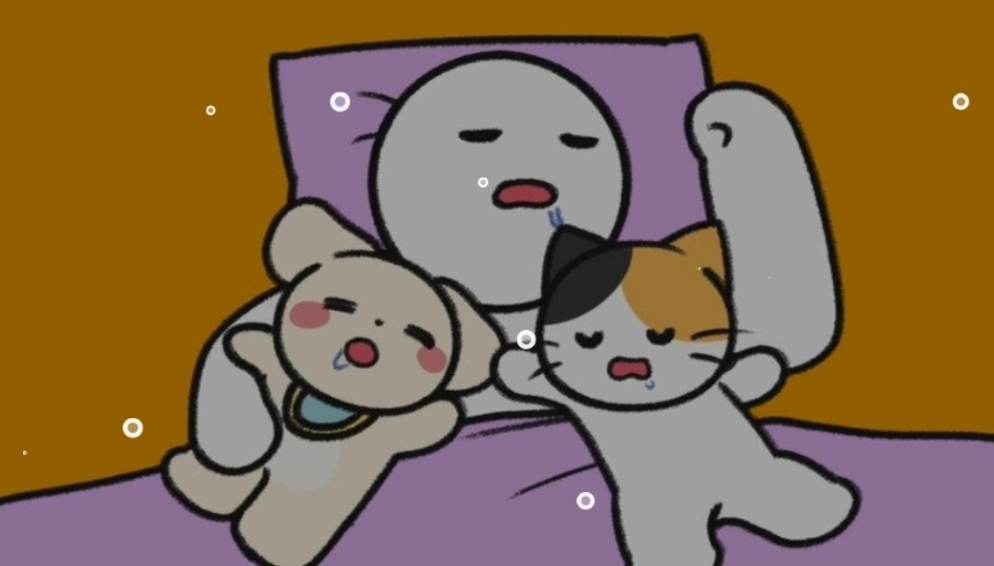 냥줍을 고민하고 있다면? 데려오기 전 꼭 알아둘 마음가짐과 실제 사례 🐱
