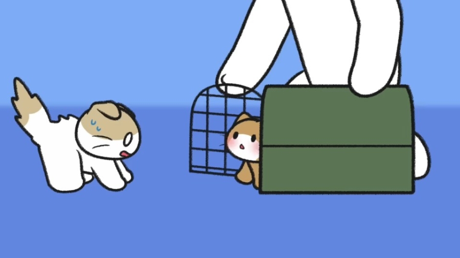 냥줍을 고민하고 있다면? 데려오기 전 꼭 알아둘 마음가짐과 실제 사례 🐱