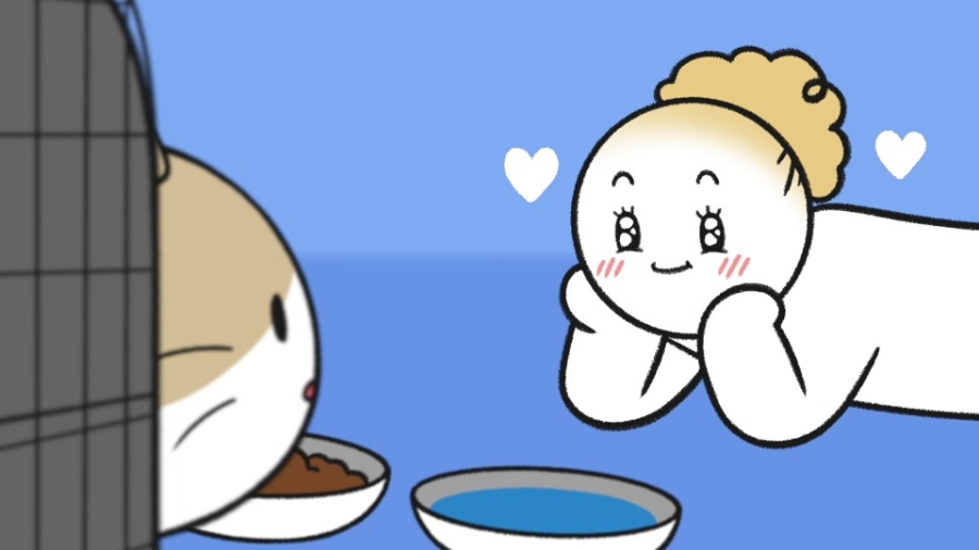 냥줍을 고민하고 있다면? 데려오기 전 꼭 알아둘 마음가짐과 실제 사례 🐱