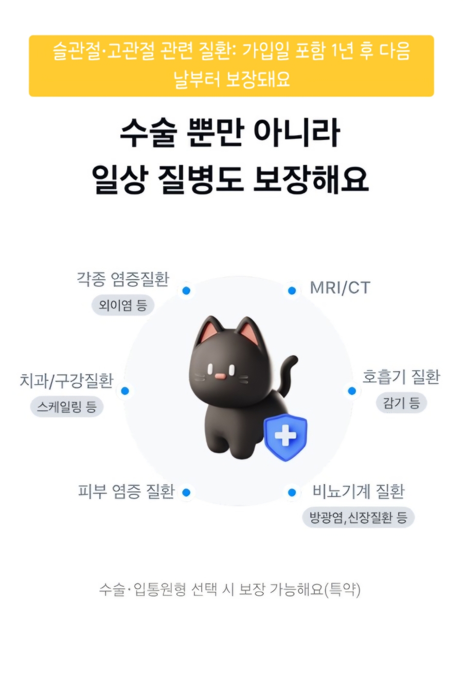 카카오톡 펫보험 가입 후기 🐱|고양이 보험 고민하다 직접 가입해본 솔직 후기
