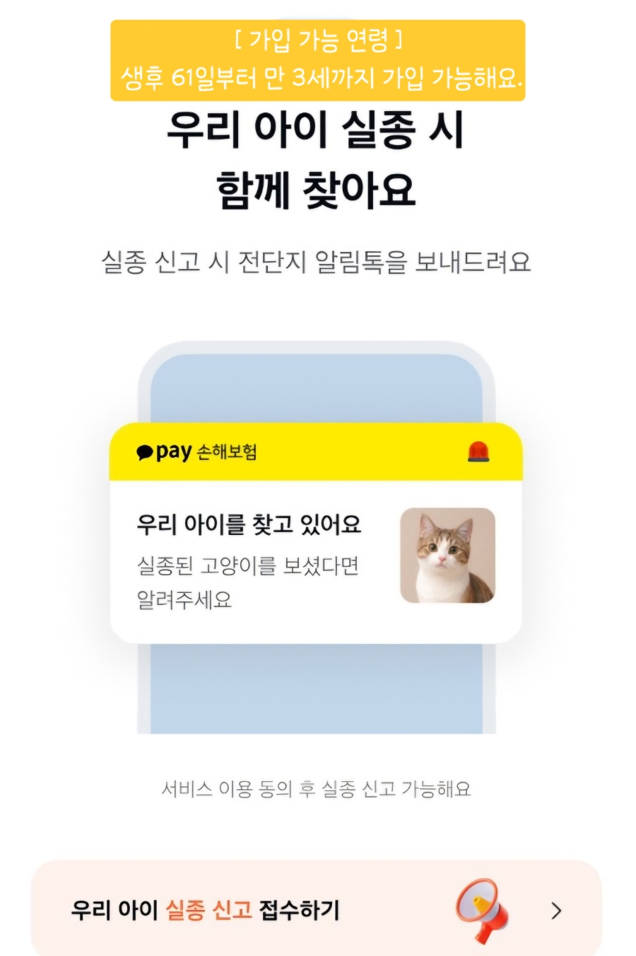 카카오톡 펫보험 가입 후기 🐱|고양이 보험 고민하다 직접 가입해본 솔직 후기