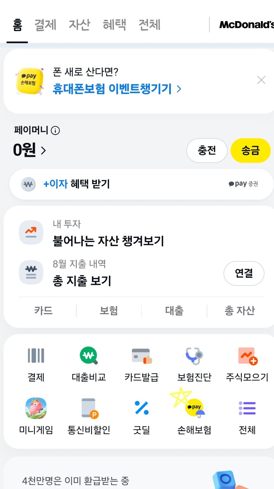 카카오톡 펫보험 가입 후기 🐱|고양이 보험 고민하다 직접 가입해본 솔직 후기