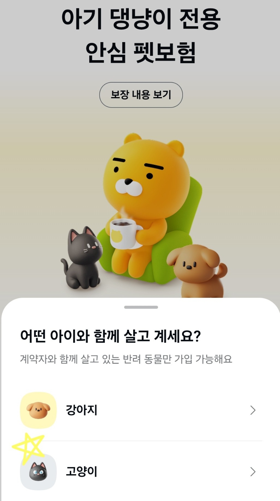 카카오톡 펫보험 가입 후기 🐱|고양이 보험 고민하다 직접 가입해본 솔직 후기