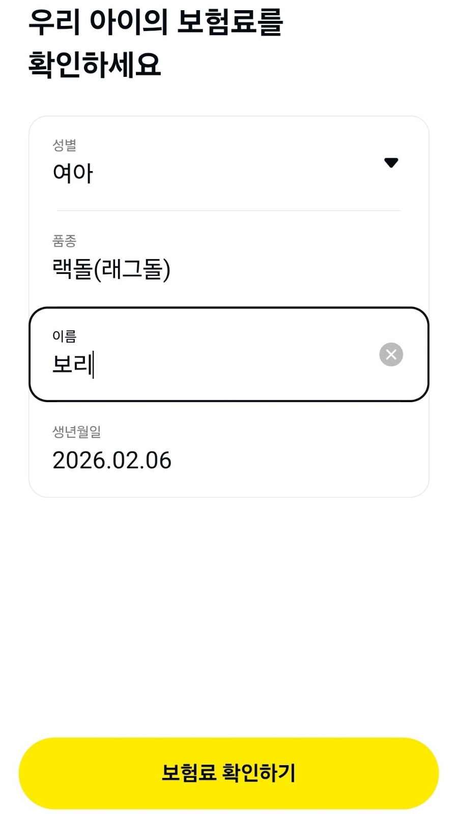 카카오톡 펫보험 가입 후기 🐱|고양이 보험 고민하다 직접 가입해본 솔직 후기