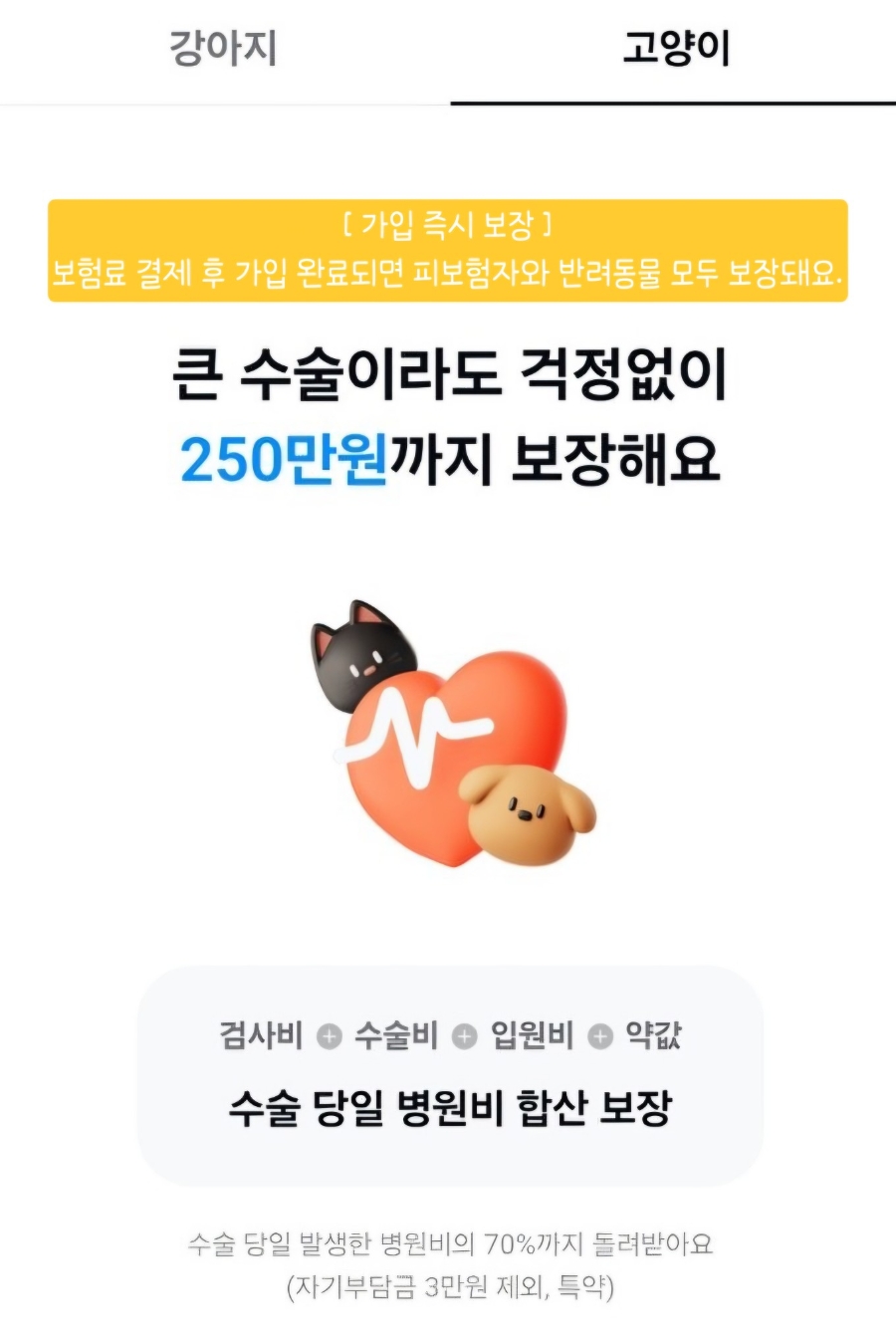 카카오톡 펫보험 가입 후기 🐱|고양이 보험 고민하다 직접 가입해본 솔직 후기